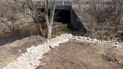Winton Rain Garden 2014 (4)